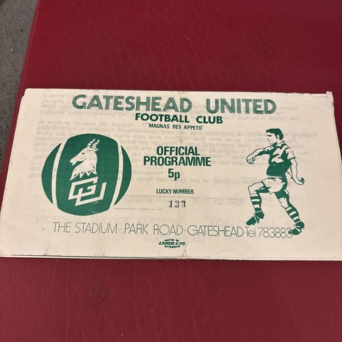 Gateshead united south - gateshead,