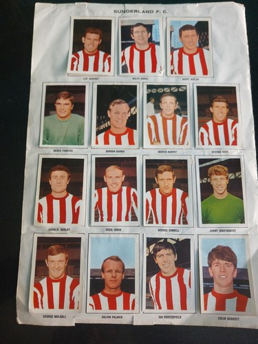 Sunderland football team 15 - sunderland,