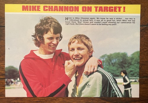 Tiger 1970s football - tiger,